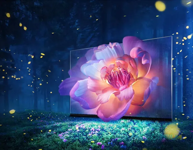 High-Definition Display Quality