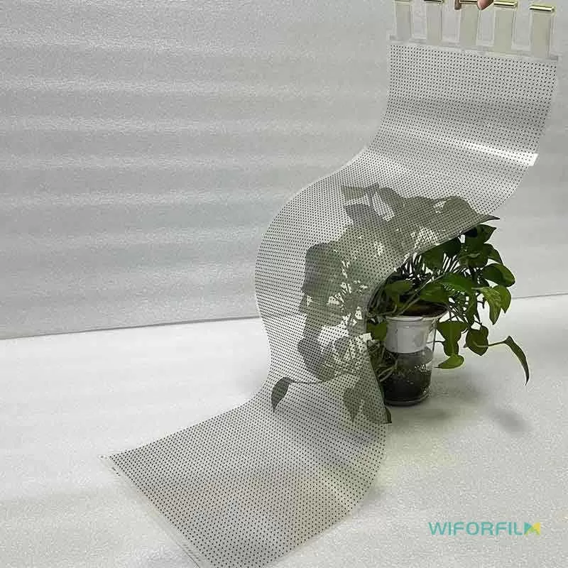 Transparent Flexible Film Screen